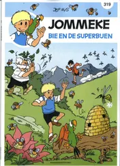Omslag van Bie en de superbijen