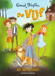 Omslag van De Vijf als detectives