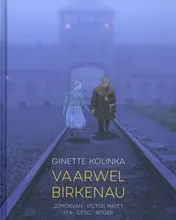 Omslag van Vaarwel Birkenau