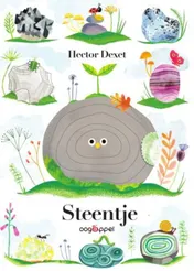 Omslag van Steentje