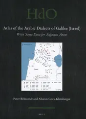 Omslag van Atlas of the Arabic Dialects of Galilee (Israel)