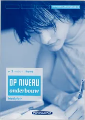 Omslag van Differentiatiewerkboek Modulair