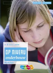 Omslag van Basisboek Modulair
