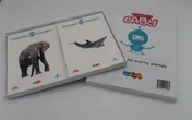 Omslag van Take it easy Woordkaarten groep 3-4 Me and my animals