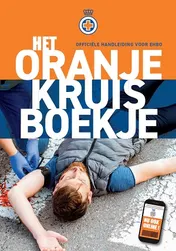 Omslag van Theorieboek