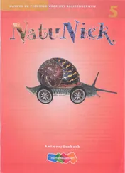 Omslag van antwoordenboek