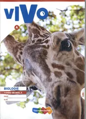 Omslag van 1 vmbo-bk