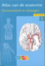 Omslag van 3 Zenuwstelsel en zintuigen
