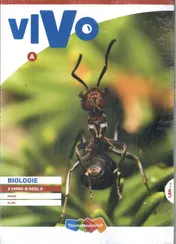 Omslag van 3 vmbo-b deel A