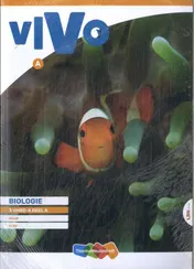 Omslag van 3 vmbo-k deel A