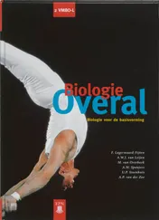 Omslag van Leerlingenboek