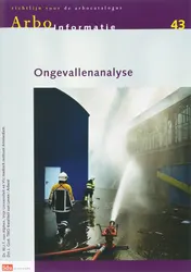 Omslag van 43 Ongevallenanalyse