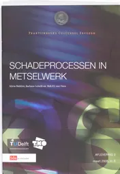 Omslag van Schadeprocessen in het metselwerk