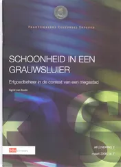 Omslag van Schoonheid in een grauwsluier