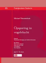 Omslag van Opsporing in vogelvlucht