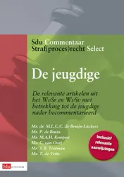 Omslag van De Jeugdige