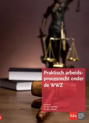 Omslag van Praktisch arbeidsprocesrecht onder de WWZ