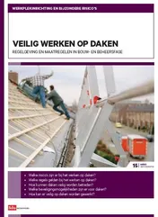 Omslag van AI-15: Veilig werken op daken