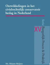 Omslag van Ontwikkelingen in het civielrechtelijk conservatoir beslag in Nederland