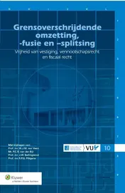 Omslag van Grensoverschrijdende omzetting, -fusie en splitsing