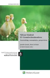 Omslag van 5 jaar bindend EU-Grondrechtenhandvest