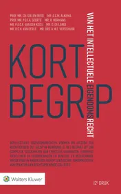 Omslag van Kort begrip van het intellectuele eigendomsrecht