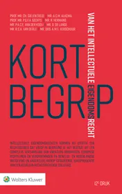 Omslag van Kort begrip van het intellectuele eigendomsrecht