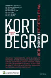 Omslag van Kort begrip van het intellectuele eigendomsrecht