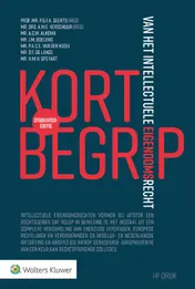 Omslag van Kort begrip van het intellectuele eigendomsrecht
