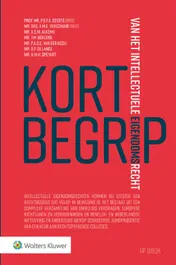 Omslag van Kort begrip van het intellectuele eigendomsrecht