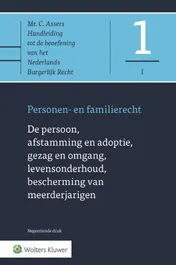 Omslag van De persoon, afstamming en adoptie, gezag en omgang, levensonderhoud