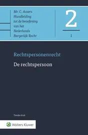Omslag van De rechtspersoon
