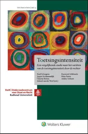 Omslag van Toetsingsintensiteit