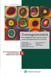 Omslag van Toetsingsintensiteit