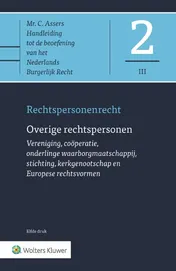 Omslag van Overige rechtspersonen
