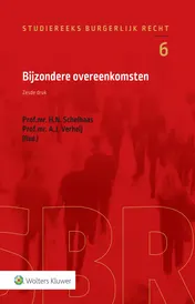 Omslag van Bijzondere overeenkomsten