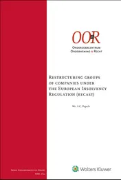 Omslag van Restructuring groups of companies under the European Insolvency regulation (recast)