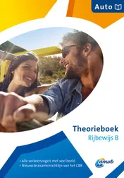 Omslag van Theorieboek