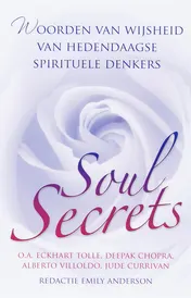Omslag van Soul Secrets
