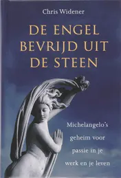 Omslag van De engel bevrijd uit de steen