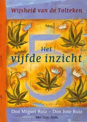 Omslag van Het vijfde inzicht