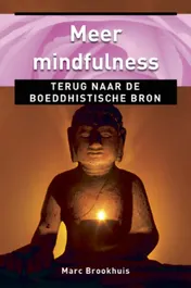 Omslag van Meer mindfulness