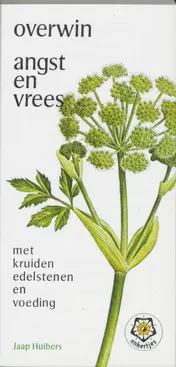 Omslag van Overwin angst en vrees