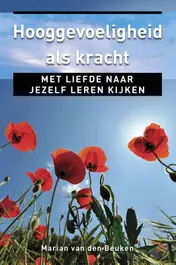 Omslag van Hooggevoeligheid als kracht