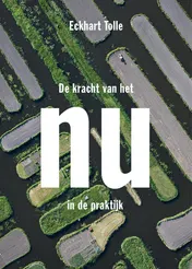 Omslag van De kracht van het nu in de praktijk
