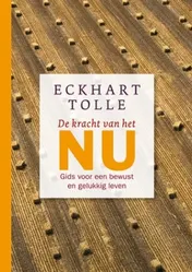 Omslag van De kracht van het nu