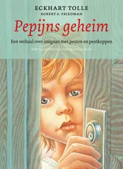 Omslag van Pepijns geheim