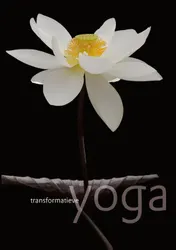 Omslag van Transformatieve yoga