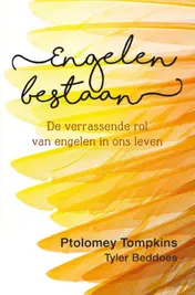 Omslag van Engelen bestaan