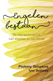 Omslag van Engelen bestaan